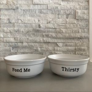 White ceramic dog/cat bowl set
